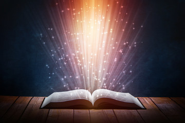 进口沙滩车都有什么品牌？