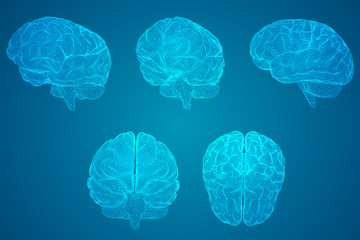 蝴蝶牌乒乓球拍有几种型号