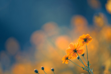 国产车什么发动机最好