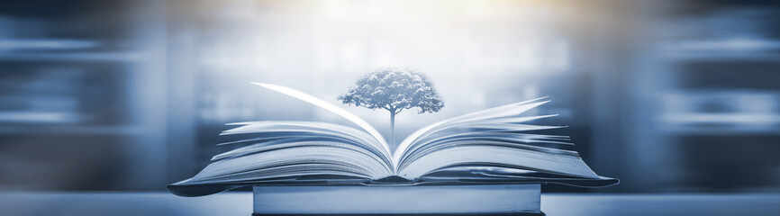 有格调的国产车推荐