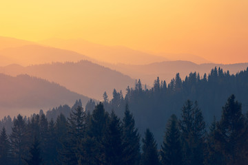 蝴蝶牌乒乓球拍有几种型号