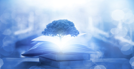 国产车什么发动机最好