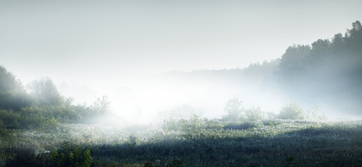 乒乓球拍为什么有腥味