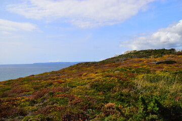 鹦鹉车漆比原厂漆好吗