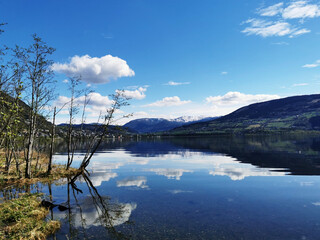 鹦鹉车漆比原厂漆好吗