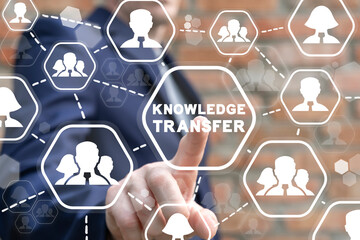 蝴蝶牌乒乓球拍有几种型号