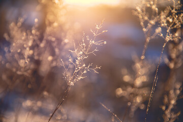 求乒乓球比赛的策划书