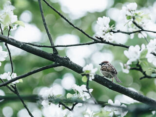 3款国产顶级跑车！