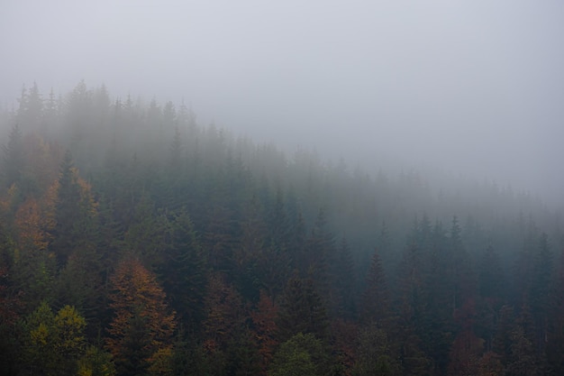 乒乓球旋球怎么接和发？