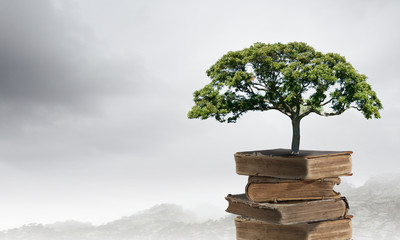 蝴蝶牌乒乓球拍有几种型号